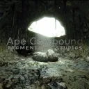 A.P.E Compound