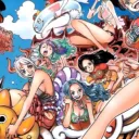 One Piece | New Dawn