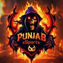 PUNJAB E-SPORTS
