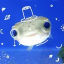✦﹒𝐄𝐥𝐲𝐬𝐢𝐮𝐦