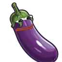 Aubergine(Eggplant)