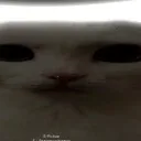 Общалка Карарасёнка UwU ඩා 🪑