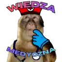 Wiedza Medyczna - Remake