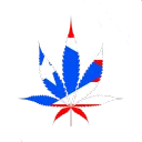 Slaves of Sativa