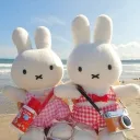 Miffyland!
