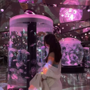 //jellifish 𓏲 ๋࣭ ࣪ ˖🎐 Server Icon