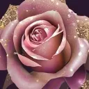 The Rose Garden