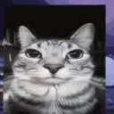 CatSoldier's Community