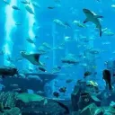 ﹒🌊︰Crystal Seas﹗ɞ