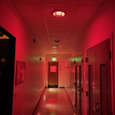 CRIMSON LABORATORIES Discord server icon