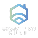 Okosotthon Guru