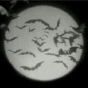 ⟢ ʙᴀᴛ ᴄᴀᴠᴇ Discord Server Icon