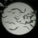 Morbid Discord Server Icon