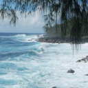 sky ✧☁ Discord server icon