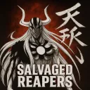Salvaged Reapers - Help & Services