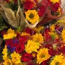 Call to Islam Discord server icon