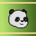 Panda Warrior