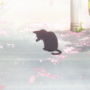 Starlight Sanctuary | ``tag [MOON], gw, chat, game, art, cosplay`` | currently d3co & np & rbx gw