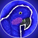 Hyacinth UGC