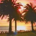 The Tropicals 🌴☀