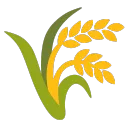 GrãoNet Community
