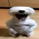 𝐄𝐬𝐪𝐮𝐢𝐳𝐨𝐬 𝐇𝐨𝐮𝐬𝐞