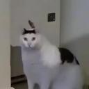 Quân Anh Và Vài Thằng Homieee avatar