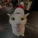 missi