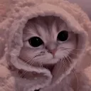 Free Admin fr discord icon