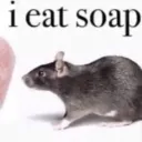 MOUSE HOLE
