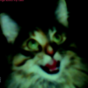 my roots are strong and deep Discord server icon