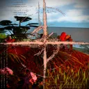 『』Survivalist Community