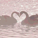 ˗ˏˋ   ⌗ 𝘚ꪖ𝘬ꪊ𝘳ꪖ 🪷  ֹ   ₊ ꒱ avatar