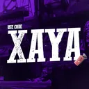 Xaya