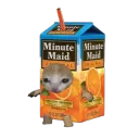 Mikas Saftladen