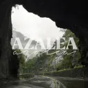 ⌗ㆍノazalea ❛🍃❛