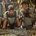 The Maze Runner