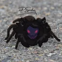 Spider’s Cave