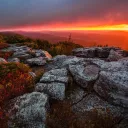 munchy crunchy's icon