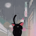 ٠࣪⭑꩜.ᐟ 𝘈𝘧𝘵𝘦𝘳 𝘔𝘪𝘥𝘯𝘪𝘨𝘩𝘵 Discord server icon