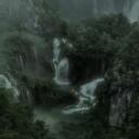 『 Endo Forest Sanctuary 』 Discord Server