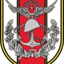 Türkiye Düzenli Ordusu
