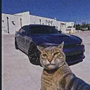 The Paws Palace