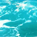 The Salty Water