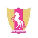 Pony Armor Regiment