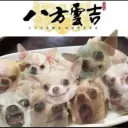 🥟八方雲吉🏆