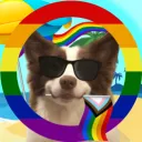 Canine Enthusiasts