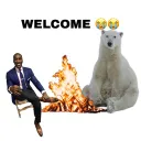 BEAR WITNESS & FRIENDS