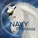 𝗡𝗮𝘃𝘆 𝗗𝗿𝗲𝘀𝘀𝗮𝗴𝗲