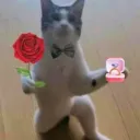 THE BBGS❤ Discord server icon